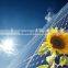 Hot sales solar panel price solar panel manufacturers in china