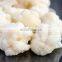 Sinocharm Agricultural products Wholesale BRC Approved 3-5 CM IQF White Cauliflower