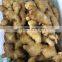 Siinocharm 2022 New Crop Hot Sale High Quality Fresh Whole Ginger