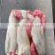 frozen squid egg frozen indian ocean squid roe red white squid roe egg