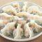 Factory Price Automatic Frozen Dumpling Machine(CE apporved)