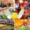 supermarket fresh product lighting 50w ip65 led high bay lamp