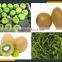 Leader medium-sized fruit skin removing machine for kiwi ,avocado, apple                        
                                                                                Supplier's Choice