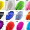 Real Natural Ostrich Feathers for Canival, Festival Decorative Feathers Wholesale