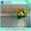 Haojing CE & ISO certificate 3mm-6mm Clear Float Glass 3.5mm Moru patterned glass