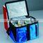 Cheap Insulated Cooler Bag for Picnic Frozen Food Lunch