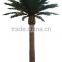 2015 Artificial 3-30m indoor or outdoor Canary Date Palm Tree,artificial tree,artificial plant