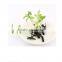 Fashion Unisex Bean Sprouts Flower Fruits Plants Grass Hairpins Funny Antenna Hairpins/Hair Clips TD50B