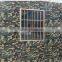 China Top Ten Selling New Camouflage Pattern Constructions PPGI 0.1mm-0.8mm Thickness Zinc Coated Steel Coils/Plates