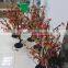 Multi-color 24V IP65 Led Cherry Blossom Tree with AC Transformer