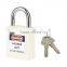 small steel padlocks