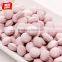 Yake sugar free mint candy in tin