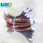 Standard auto electrical wiring harness connector factory