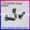 Customized Galvanized Self-Tapping Screws