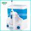 Powered Dental Water Flosser with 5pcs Replacement Accessories