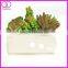 artificial succulent pick