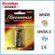 Alkaline Battery 9V 6LR61