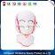 LED Facial Mask Wrinkle Acne Removal Face Skin Rejuvenation LED Photon Facial Mask Facial Massage Beauty Spa Device