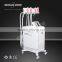 Professional portable 4 handles cryolipolysis fat freezing cryolipolysis