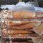 Frozen Illex Argentina Squid 100-150g