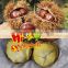 Organic Fresh Chestnuts --Bulk Hebei Chestnuts for sale