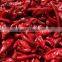 Dried Whole Red Chilli