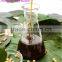 NON GMO acetone chocolate food grade liquid soya lecithin from China manufacturer