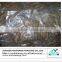 Dried salted cod fish price