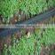 Hotsale Black rain Pipe for Farm Irrigation System