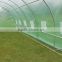 OUTSUNNY 6m (L) X 3m (W) X 2m (H) Polytunnel Greenhouse Pollytunnel Poly Polly Tunnel Fully Galvanised Anti Rust Steel Frame