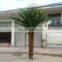 GNW APM015 Artificial Palm Plants Park Landscaping Decoration Palm Trees