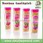 Two point bamboo toothpick