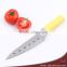 High quality plastic handle stainless steel Japanese style utility knives,Sashimi knives,paring knives with 6 holes