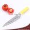 High quality plastic handle stainless steel Japanese style utility knives,Sashimi knives,paring knives with 6 holes