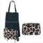 Shopping Carry Bags