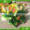 Kawah 2.2m long amusement Dinosaur Toy Car For Children