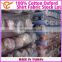Taiwan Pure Cotton Plaid Oxford Fabric Stock Lot