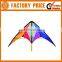 Hot Sale Adversting Promotional Chinese Bat Kite