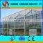 2017 Hot Sale Used Commercial Mushroom Greenhouse