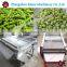 High efficiency and stable working peas/green bean/soybean shell removing/peeling machine