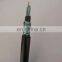 GYTA53 GYTY53 Stranded Loose Tube 12 24 Core Armored Single Mode Fiber Optic Cable For Outdoor Duct Direct Buried