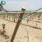 Table Grape Trellis Systems Open Gable Trellis