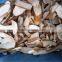 Frozen Boletus Edulis, Slices, grade A