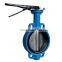 Sanitary Electric Grooved Wafer Lug Pneumatic Cast Iron Chain Wheel Butterfly Valve