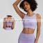 High Neck Hollow Out High Quality Breathable Yoga Tops Gym Backless Crop Sports Bras Nylon Spandex