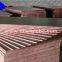 Concrete Plywood Formwork Building Construction Veneer Boards Black/Brown Film Surface WBP Glue E1 Painted