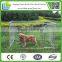  China - hot sale high quality dog kennel wholesale/ 6ft dog kennel cage/ economic dog kennel