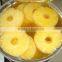 Queen pineapples slices in light syrup - 3100ml tin