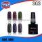 ODM OEM Available Different Colors Cat Eye Nail Polish Korea