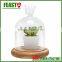 high borocilicate clear flower glass dome